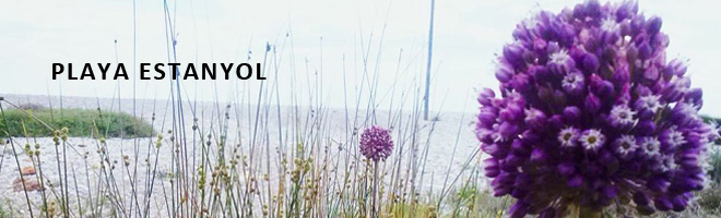 Platja Estanyol