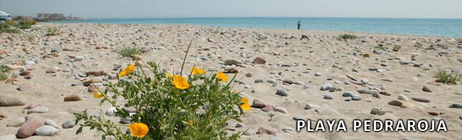 Platja Pedraroja